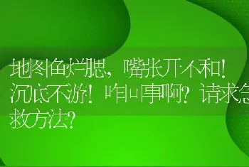 地图鱼烂腮，嘴张开不和！沉底不游！咋回事啊？请求急救方法？