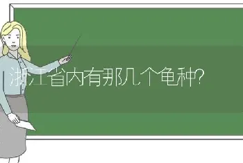 浙江省内有那几个龟种？