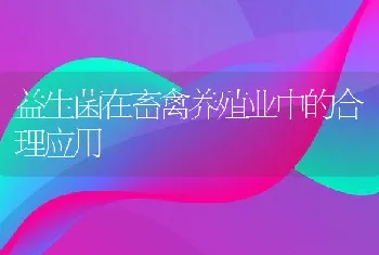 益生菌在畜禽养殖业中的合理应用