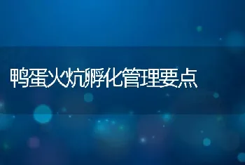 鸭蛋火炕孵化管理要点