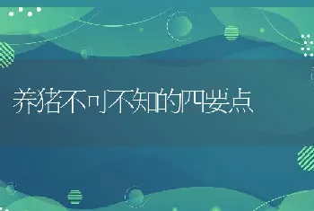 养猪不可不知的四要点