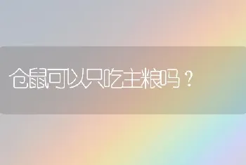 仓鼠可以只吃主粮吗？