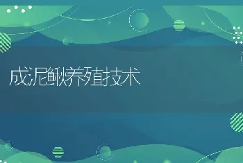 鸭绦虫病症状与防治