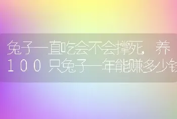 兔子一直吃会不会撑死，养100只兔子一年能赚多少钱