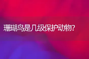 珊瑚鸟是几级保护动物？