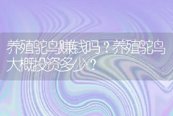 养殖鸵鸟赚钱吗？养殖鸵鸟大概投资多少？