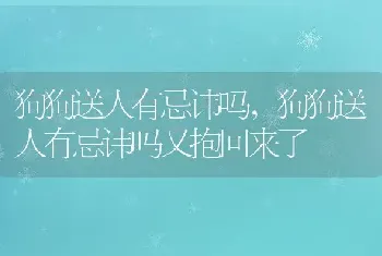 狗狗送人有忌讳吗，狗狗送人有忌讳吗又抱回来了