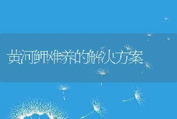 黄河鲤难养的解决方案