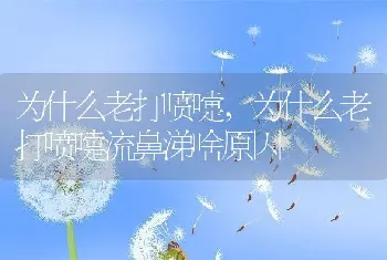 为什么老打喷嚏，为什么老打喷嚏流鼻涕啥原因