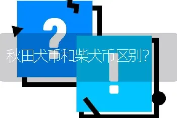 秋田犬币和柴犬币区别？