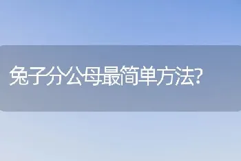 兔子分公母最简单方法？