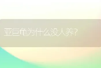 亚巨龟为什么没人养？