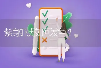 紫身虾虎如何发色？