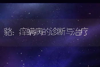 貉：痒螨病的诊断与治疗