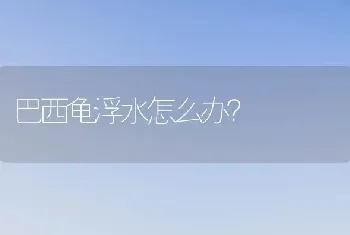 巴西龟浮水怎么办？