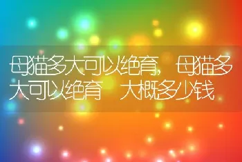 母猫多大可以绝育，母猫多大可以绝育 大概多少钱