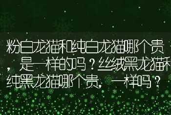 粉白龙猫和纯白龙猫哪个贵，是一样的吗？丝绒黑龙猫和纯黑龙猫哪个贵，一样吗？