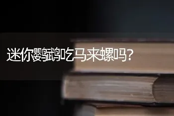 迷你鹦鹉吃马来螺吗？