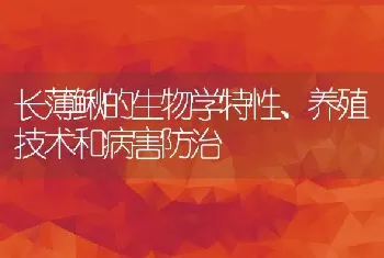 长薄鳅的生物学特性、养殖技术和病害防治