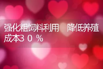 强化粗饲料利用降低养殖成本30％