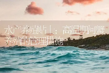 水产养殖贴士：高温期河蟹养殖的管理措施