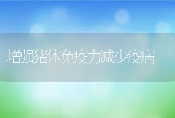 如何识别鳗料优劣