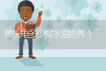 黄头龟多少度水温能养？