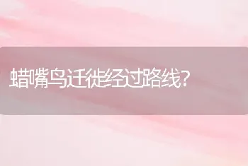 蜡嘴鸟迁徙经过路线？