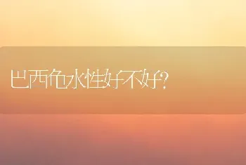 巴西龟水性好不好？