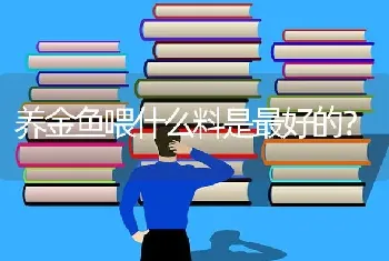 养金鱼喂什么料是最好的？