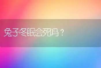 兔子冬眠会死吗？