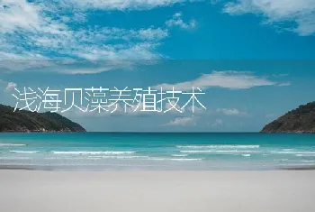 浅海贝藻养殖技术