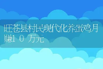 旺苍县村民现代化养蛋鸡月赚10万元