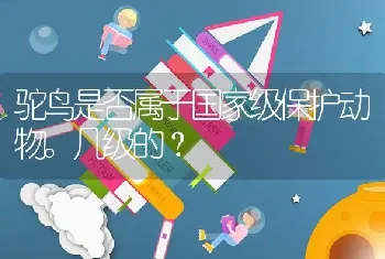 驼鸟是否属于国家级保护动物。几级的？