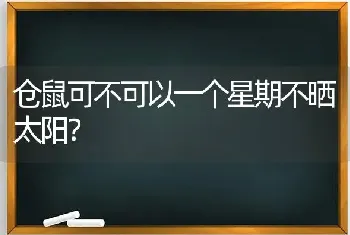 仓鼠可不可以一个星期不晒太阳？