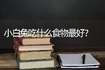 小白兔吃什么食物最好？