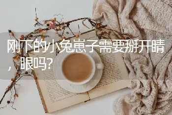 刚下的小兔崽子需要掰开睛，眼吗？