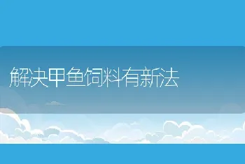 解决甲鱼饲料有新法