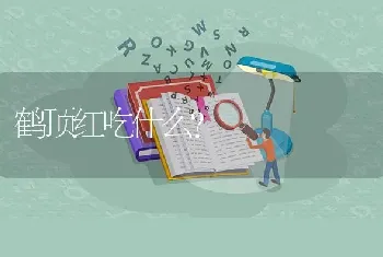 鹤顶红吃什么？