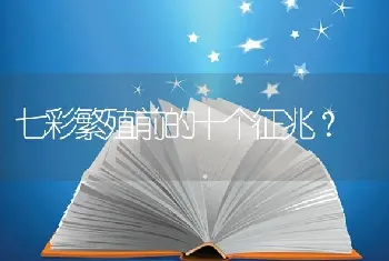 七彩繁殖前的十个征兆？