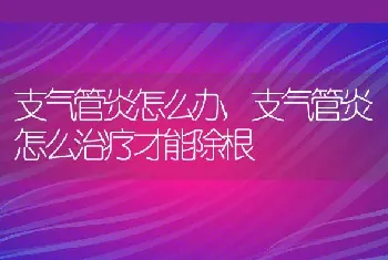 支气管炎怎么办，支气管炎怎么治疗才能除根