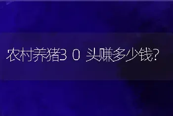 农村养猪30头赚多少钱？