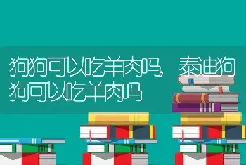 狗狗可以吃羊肉吗，泰迪狗狗可以吃羊肉吗