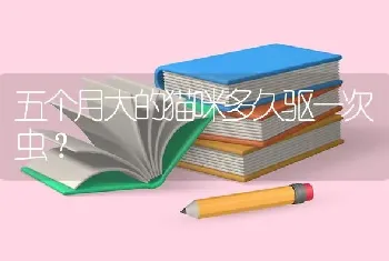 五个月大的猫咪多久驱一次虫？