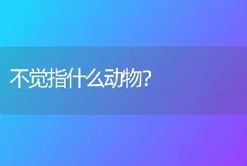 不觉指什么动物？