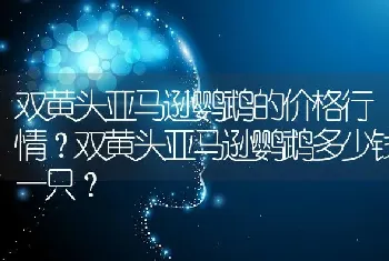 双黄头亚马逊鹦鹉的价格行情？双黄头亚马逊鹦鹉多少钱一只？