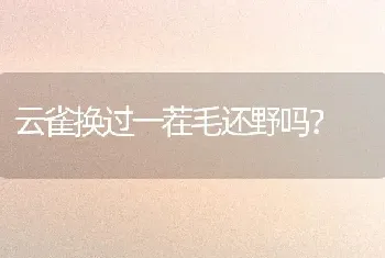 云雀换过一茬毛还野吗？