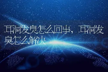 耳洞发臭怎么回事，耳洞发臭怎么解决