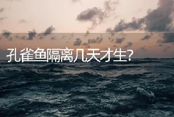 孔雀鱼隔离几天才生？