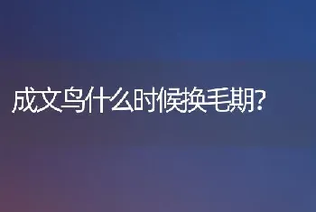 成文鸟什么时候换毛期？